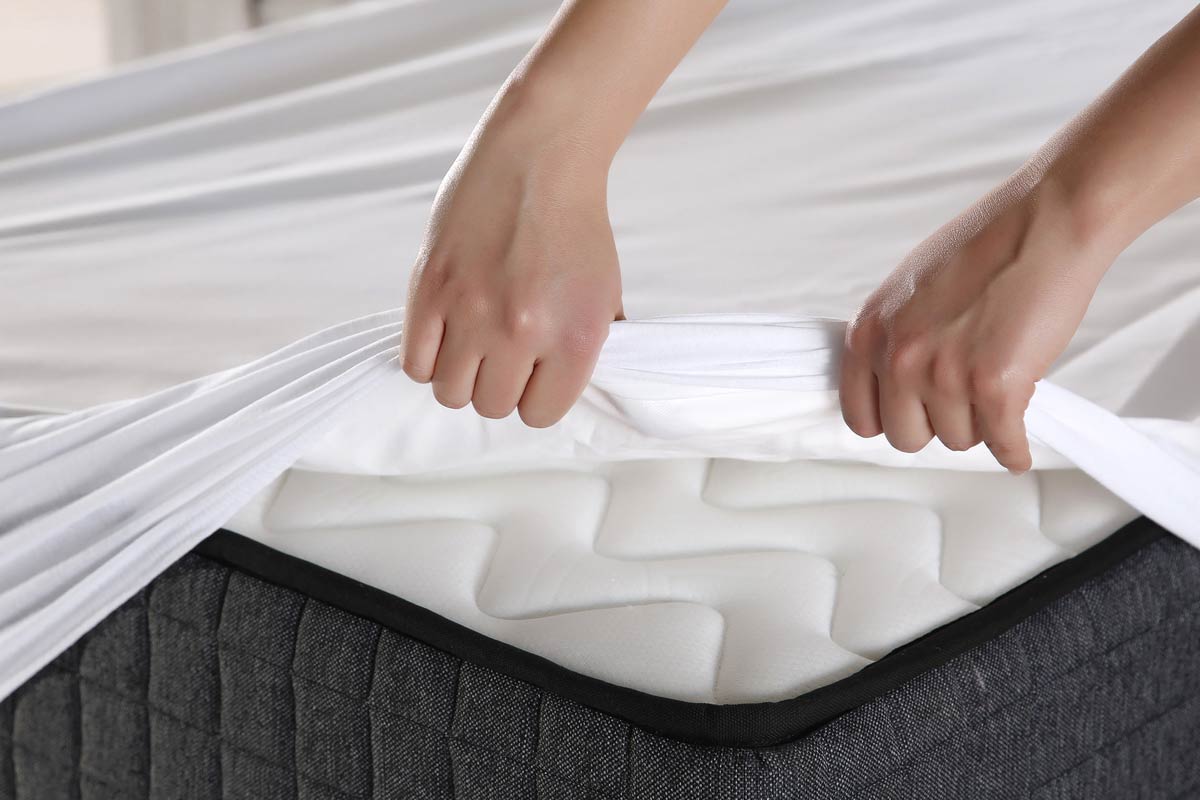 mattress cleaning services
