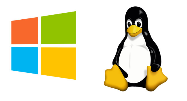Linux vs Windows web website