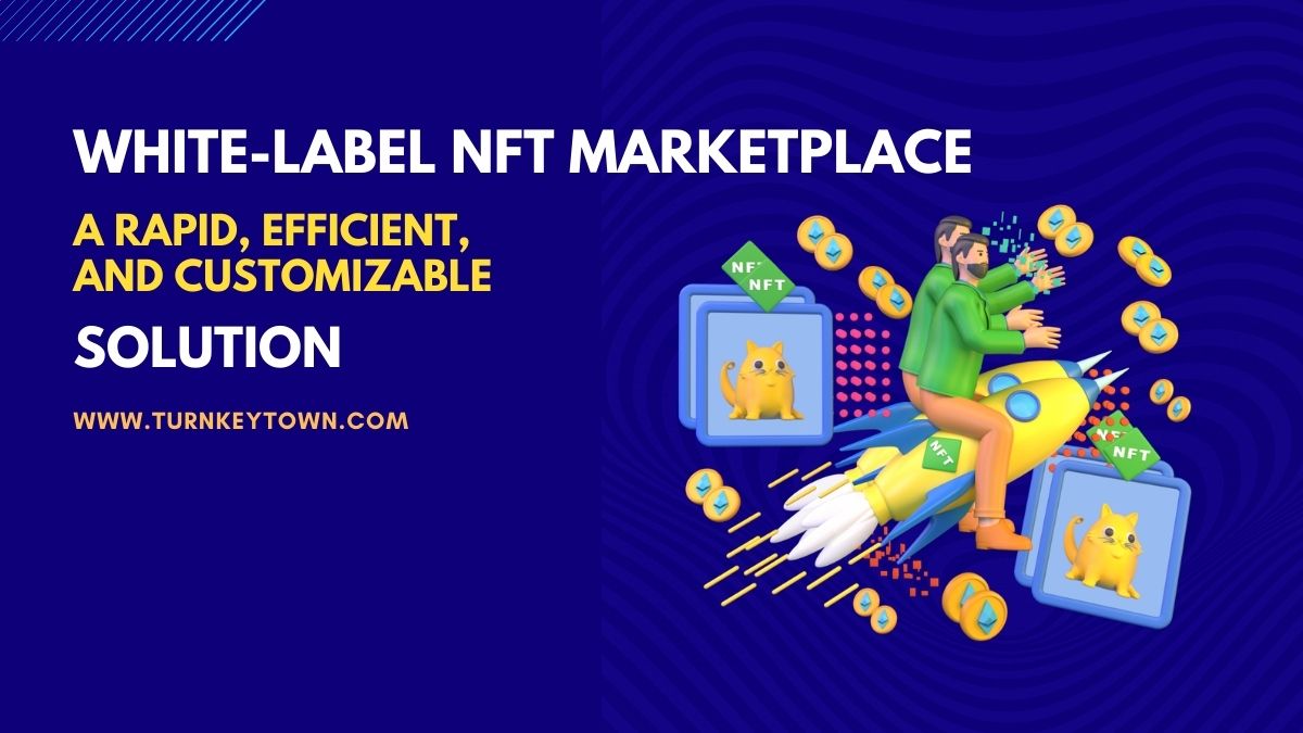 White label NFT Marketplace Development