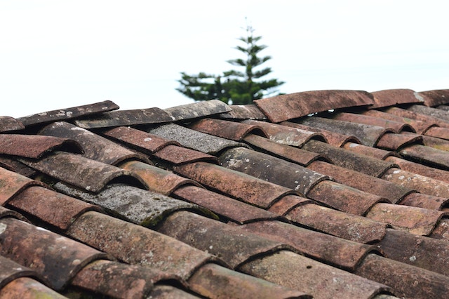 Aged roof shingles that need to be replaced