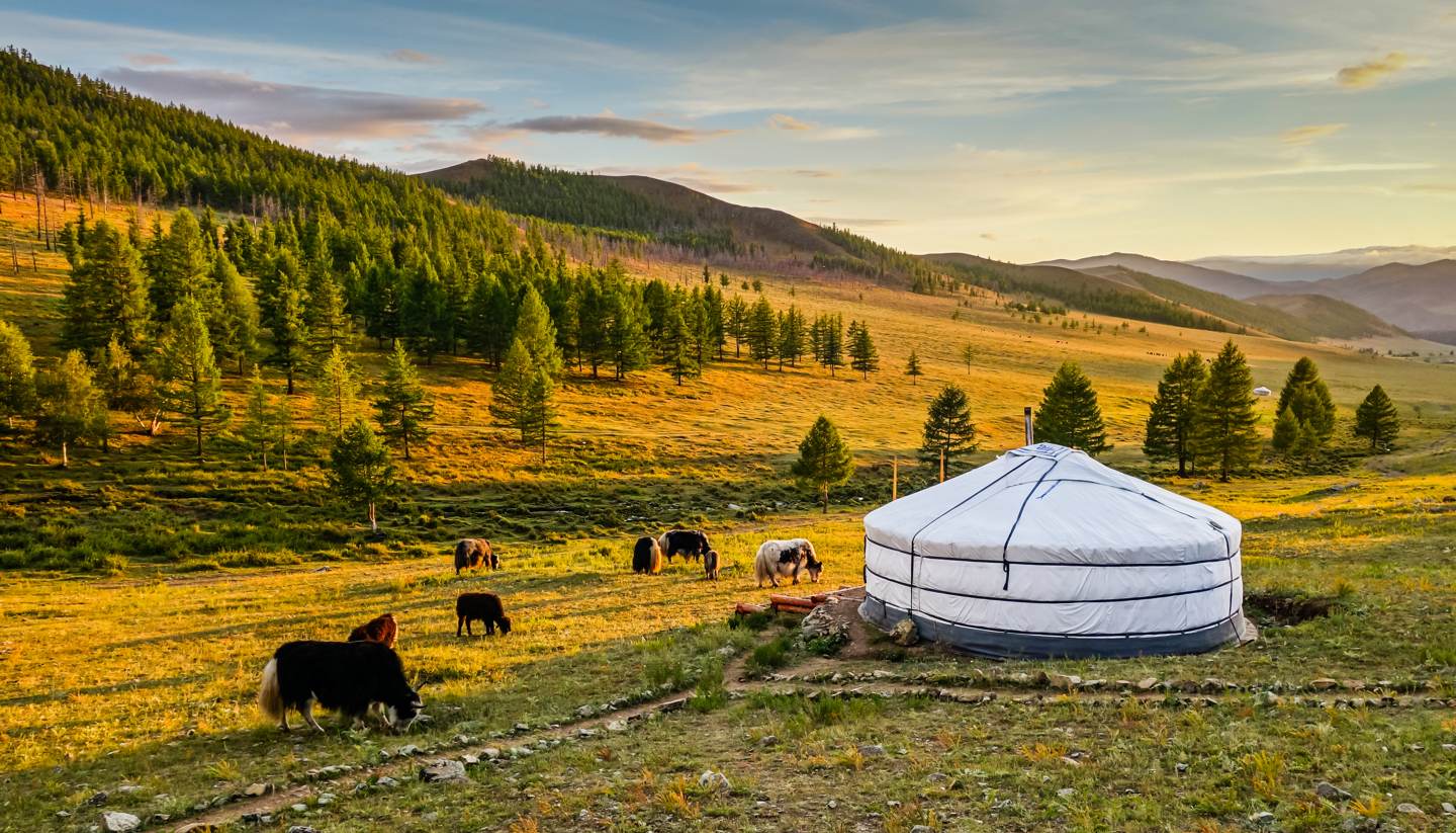 how to travel to mongolia