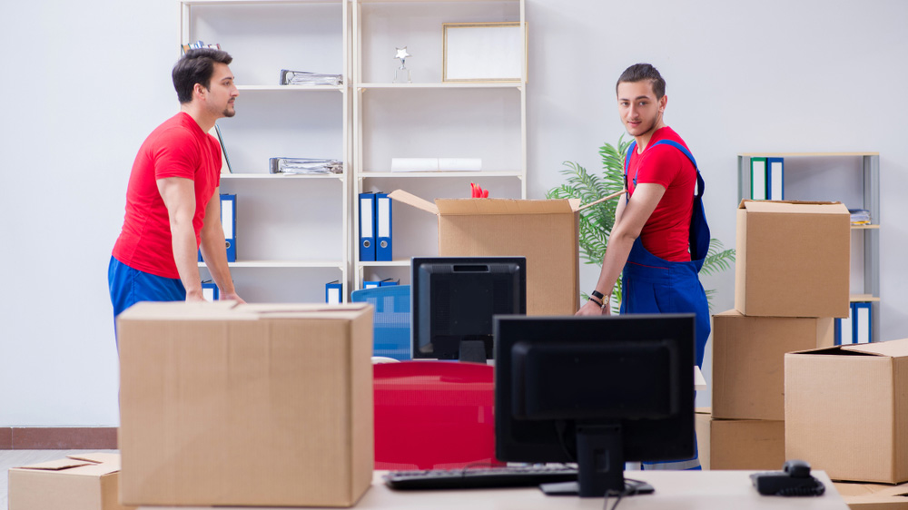 packers and movers in rothak