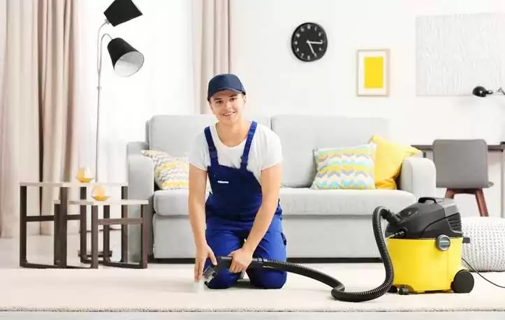 Reliable Carpet Cleaner