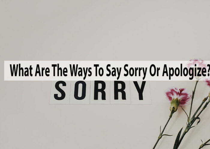 What Are The Ways To Say Sorry Or Apologize?